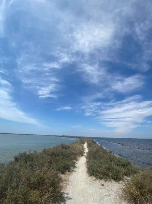 Havre De Paix Avec Jardin Et Clim En Centre Ville De Сет Екстериор снимка